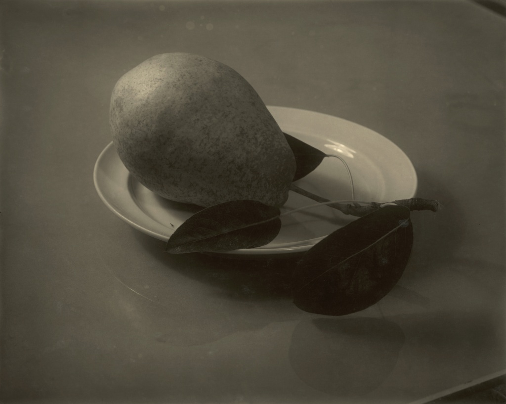 Sudek Reprises Sudek Reprises