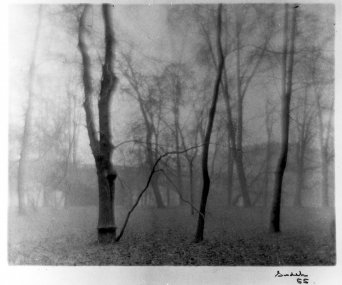 Josef Sudek, Podzimní ostrov I., 1955