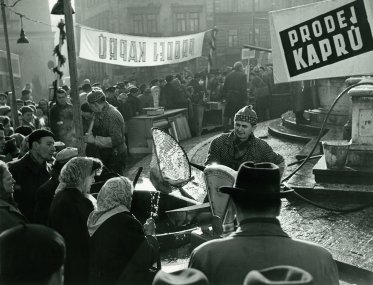 Miloš Budík, Prodej kaprů, 1957
