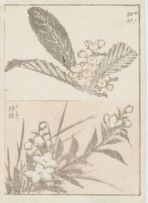 3 Utagawa Hirošige, Dvě strany z alba květin, barevný dřevořez,,NGP