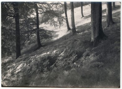 Josef Sudek_Hukvaldy_1967