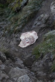 Ondřej Kubeš_Scars and Other Fragments