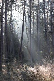 Ondřej Kubeš_Scars and Other Fragments