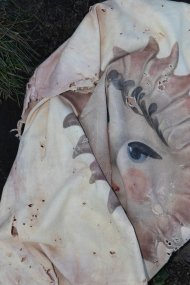 Scars and Other Fragments