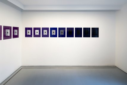 Brousil - Date with a Plant