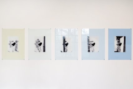 Brousil - Date with a Plant