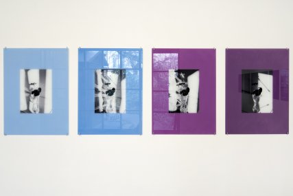 Brousil - Date with a Plant