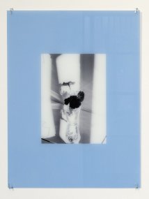 Brousil - Date with a Plant