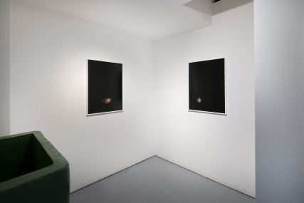 Brousil - Date with a Plant