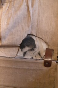 Ondřej Kubeš_Scars and Other Fragments