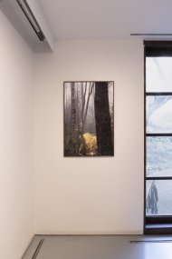 Ondřej Kubeš_Scars and Other Fragments