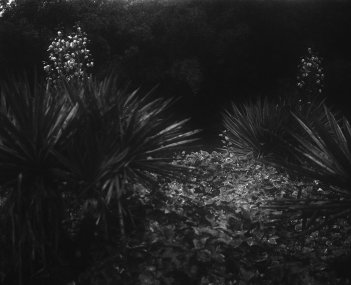 Mojmír Bureš / Proces