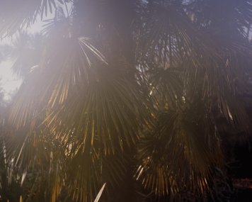 Mojmír Bureš / Proces