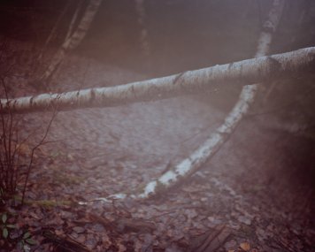 Mojmír Bureš / Proces