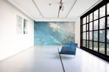 Adriána Ingeli / Immersion Waves, 31.1. -  16.3.2025