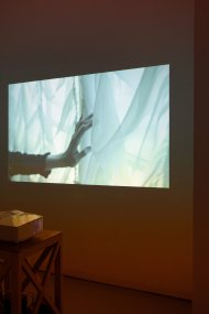 Adriána Ingeli / Immersion Waves, 31.1. -  16.3.2025