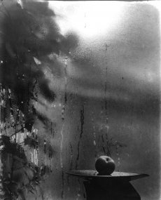 Josef Sudek – Zátiší na okně mého ateliéru, 1944