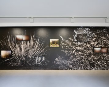 Atelier-Josefa-Sudka-Instalace-Mojmir-Bures