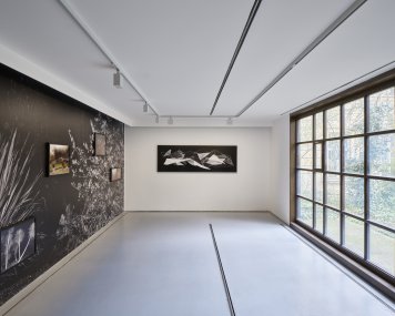 Atelier-Josefa-Sudka-Instalace-Mojmir-Bures