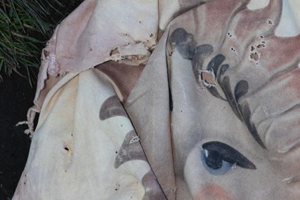Scars and Other Fragments