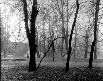 J.Sudek_Střelecký ostrov_1957